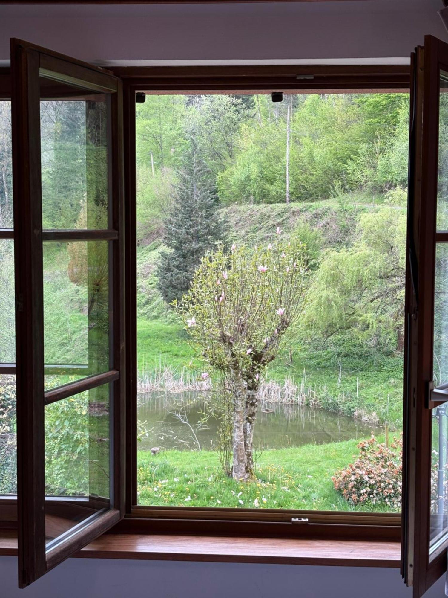 La Belle Charbonniere Hotel La Grande Fosse Bilik gambar