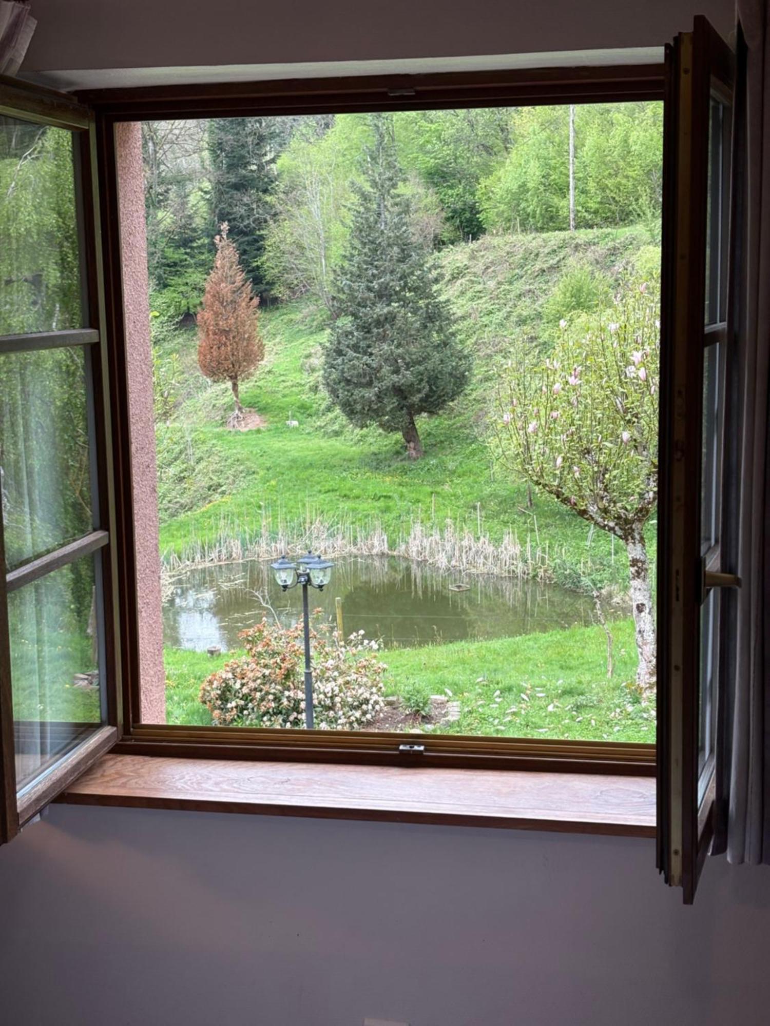 La Belle Charbonniere Hotel La Grande Fosse Bilik gambar